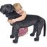 Labrador-Riesen-Stofftier MD12117 Melissa & Doug 2