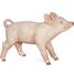 Weibliche Schweinfigur PA-51136 Papo 1