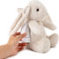 Musikalisches Nachtlicht Billy Bunny Cloudb-7703-BB Cloud b 3