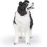 Border-Collie-Figur PA-54008 Papo 2