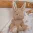 Spieluhr Kaninchen Baby Bunny LD8856 Little Dutch 3