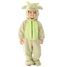 Baby Drache Kostüm für Kinder 24-36 Monate CHAKS-C464196 Chaks 1