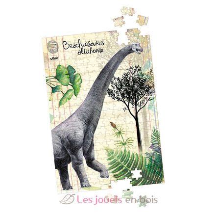 Box mit 3 Dinosaurier-Puzzles und Postern V9626 Vilac 4