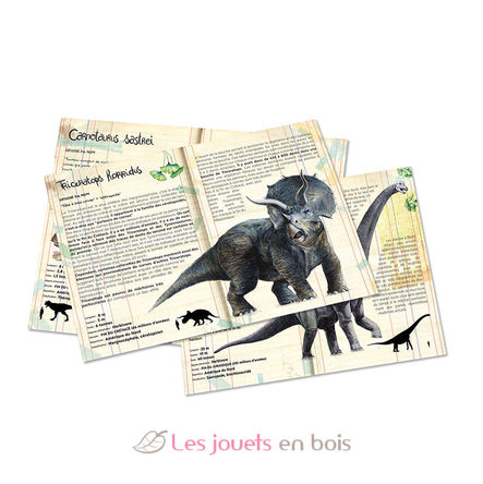 Box mit 3 Dinosaurier-Puzzles und Postern V9626 Vilac 5